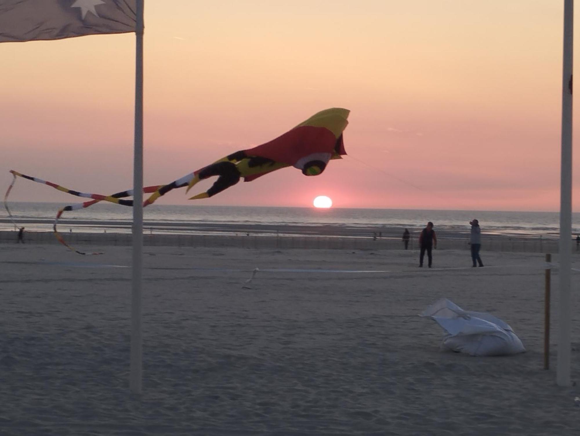 L'Alteia - L'Appartement Les Pieds Dans L'Eau Avec Place De Parking Prive Et Acces Direct A La Plage Berck Buitenkant foto