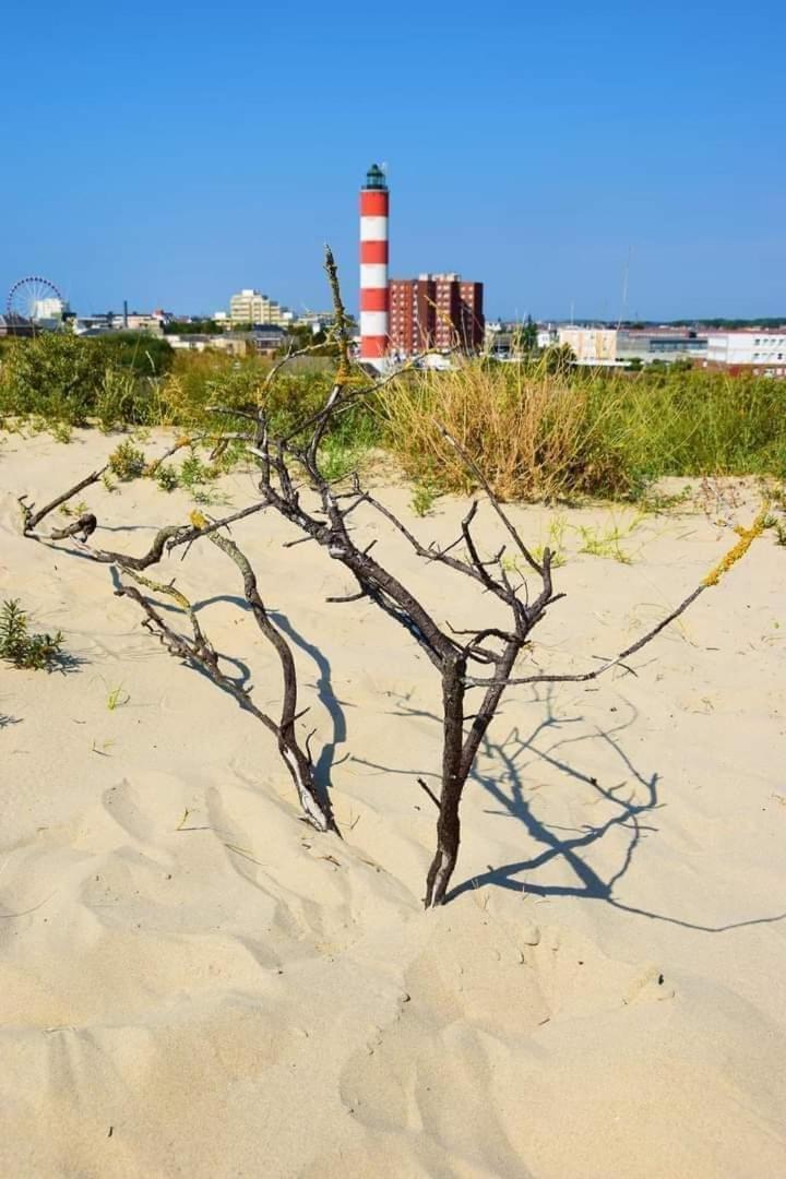 L'Alteia - L'Appartement Les Pieds Dans L'Eau Avec Place De Parking Prive Et Acces Direct A La Plage Berck Buitenkant foto
